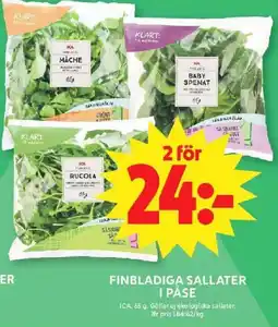 ICA Maxi ICA Finbladiga sallater i påse erbjuda