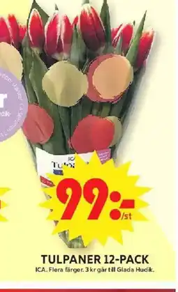 ICA Maxi Tulpaner 12-pack erbjuda