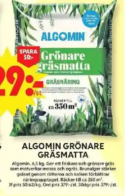 ICA Maxi Algomin grönare gräsmatta erbjuda