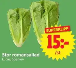 Nya Pulsen Stor romansallad erbjuda