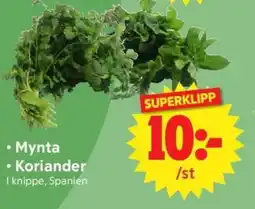 Nya Pulsen Mynta • Koriander erbjuda