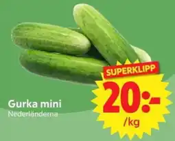 Nya Pulsen Gurka mini erbjuda