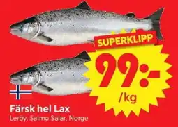 Nya Pulsen Färsk hel Lax erbjuda