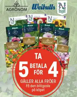 EKO Gäller alla fröer erbjuda