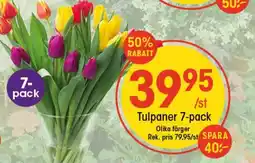 EKO Tulpaner 7-pack erbjuda