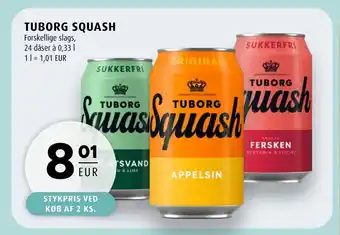 Scandinavian Park TUBORG SQUASH erbjuda