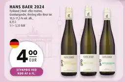 Scandinavian Park HANS BAER 2024 erbjuda