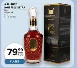 Scandinavian Park A.H. RIISE Non plus ultra erbjuda