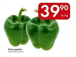 Snabbgross Grön paprika erbjuda