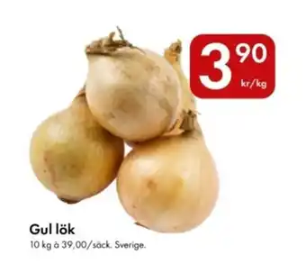 Snabbgross Gul lök erbjuda