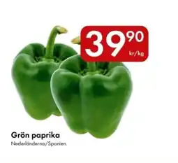 Snabbgross Grön paprika erbjuda