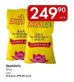 Snabbgross LOTUS Jasminris erbjuda