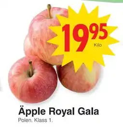 Matöppet Äpple Royal Gala erbjuda