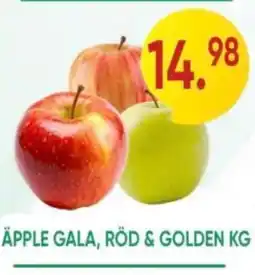 Abbe Market Äpple gala, röd & golden erbjuda