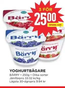 Willys Bärry Yoghurtbägare erbjuda