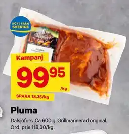 City Gross Pluma erbjuda