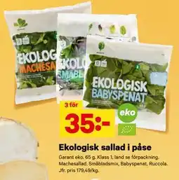 City Gross Ekologisk sallad i påse erbjuda