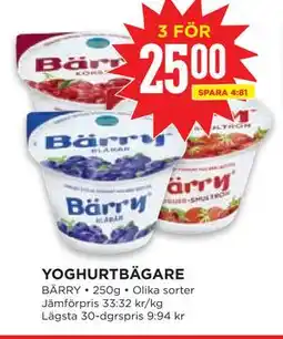Willys YOGHURTBÄGARE erbjuda