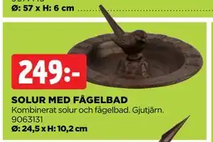 SOLUR MED FÅGELBAD