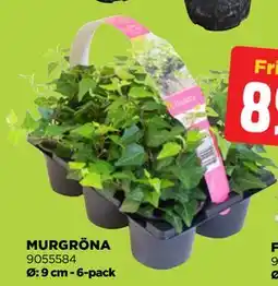 Jem&Fix MURGRÖNA erbjuda