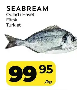 Matrix Butikerna Seabream erbjuda