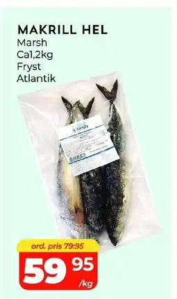 Matrix Butikerna Marsh Makrill hel erbjuda