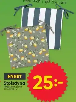 DollarStore Stolsdyna erbjuda