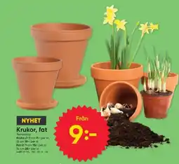 DollarStore Krukor, fat erbjuda