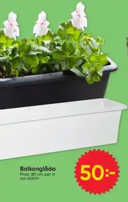 DollarStore Balkonglåda erbjuda