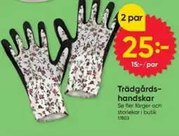 DollarStore Trädgårds- handskar erbjuda