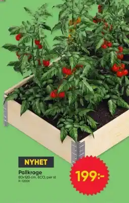 DollarStore Pallkrage erbjuda