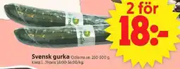 ICA Supermarket Svensk gurka erbjuda