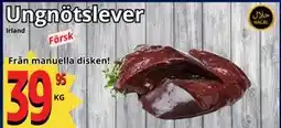 Supergrossen Ungnötslever erbjuda