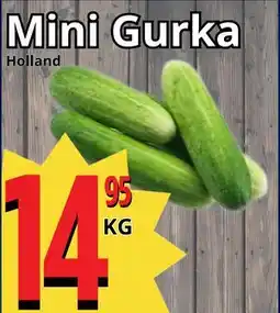 Supergrossen Mini Gurka erbjuda