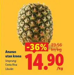 Lidl Ananas utan krona erbjuda