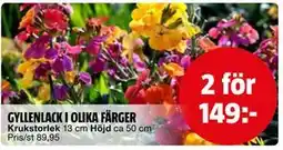 Bauhaus GYLLENLACK I OLIKA FÄRGER erbjuda