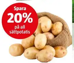 Bauhaus Spara 20% på all sättpotatis erbjuda