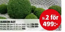 Bauhaus BUXBOM KLOT erbjuda