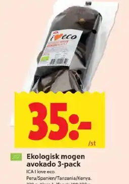 ICA Kvantum Ekologisk mogen avokado 3-pack erbjuda