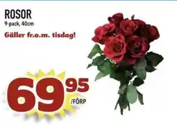 Prisma Mat Rosor erbjuda