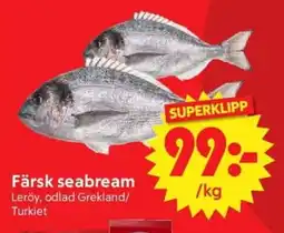 Nya Pulsen Färsk seabream erbjuda