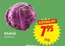 Nya Pulsen Rödkål erbjuda