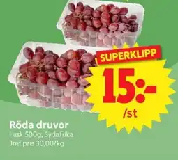 Nya Pulsen Röda druvor erbjuda