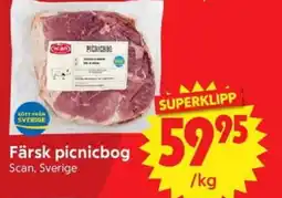 Nya Pulsen SCAN Färsk picnicbog erbjuda