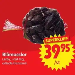 Nya Pulsen Blåmusslor erbjuda