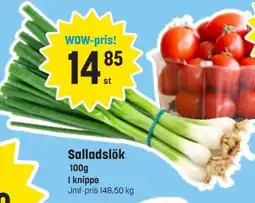 Eurocash Salladslök erbjuda