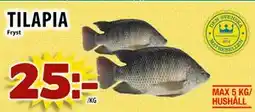 Matvärlden Tensta TILAPIA erbjuda