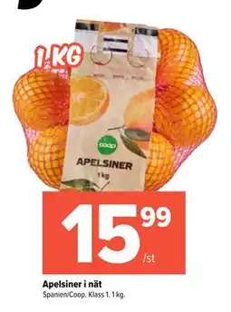 Coop Extra Apelsiner i nät erbjuda