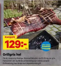 City Gross Grillgris hel erbjuda