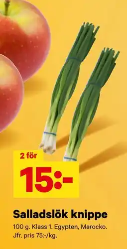 City Gross Salladslök knippe erbjuda